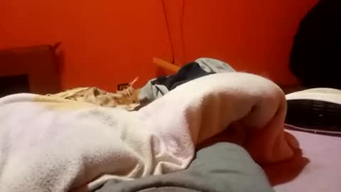 raulillo19842 online show from 02.19.26