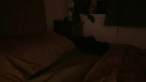 Snapshot of ravenousbttm chatting on 02.06.25 sebas online show from 02.06.25