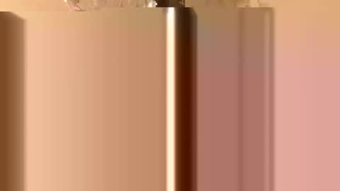 Snapshot of rawdogchewdog chatting on 11.26.25 Mountain Man online show from 11.26.25