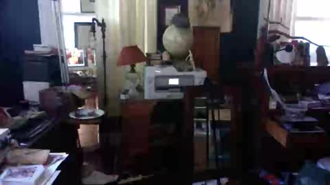 ray1776ray online show from 11.06.25