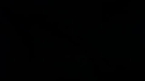 Ray  online show from 01.25.25