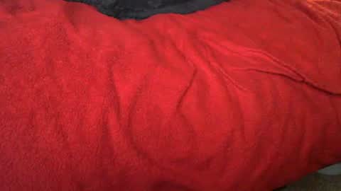 raymondo1964 online show from 11.12.25