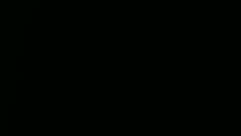 Snapshot of raysmith77777777 chatting on 12.29.24 Ray online show from 12.29.24