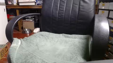 Snapshot of raysmith77777777 chatting on 12.31.24 Ray online show from 12.31.24