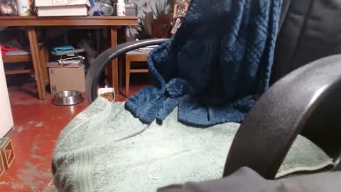 Snapshot of raysmith77777777 chatting on 01.01.25 Ray online show from 01.01.25