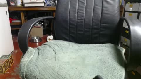 Snapshot of raysmith77777777 chatting on 01.01.25 Ray online show from 01.01.25