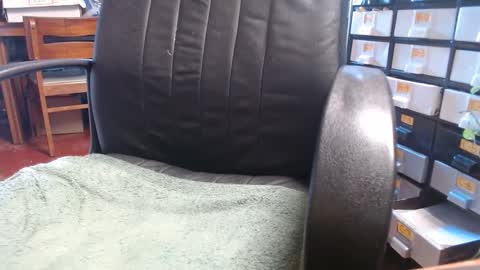 Snapshot of raysmith77777777 chatting on 01.01.25 Ray online show from 01.01.25