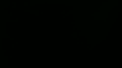 Snapshot of raysmith77777777 chatting on 01.01.25 Ray online show from 01.01.25