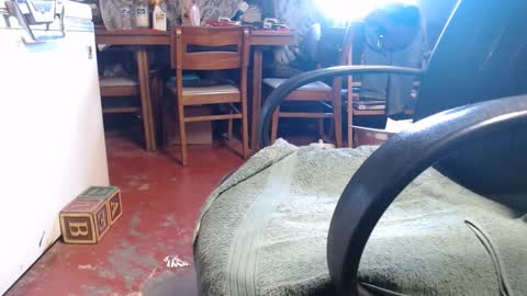 Snapshot of raysmith77777777 chatting on 01.04.25 Ray online show from 01.04.25