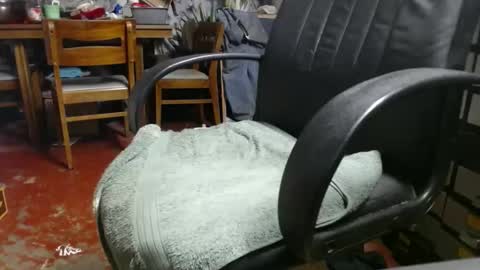 Snapshot of raysmith77777777 chatting on 01.06.25 Ray online show from 01.06.25