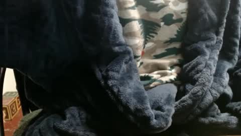 Snapshot of raysmith77777777 chatting on 01.07.25 Ray online show from 01.07.25