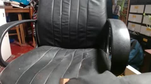 Snapshot of raysmith77777777 chatting on 11.18.25 Ray online show from 11.18.25