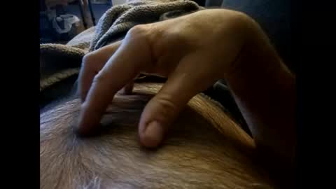 rdt2030 online show from 12.08.24