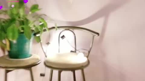 rebeccawhite_meow online show from 06.11.26