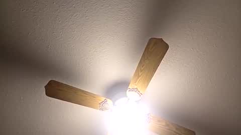 red24devils online show from 12.03.25