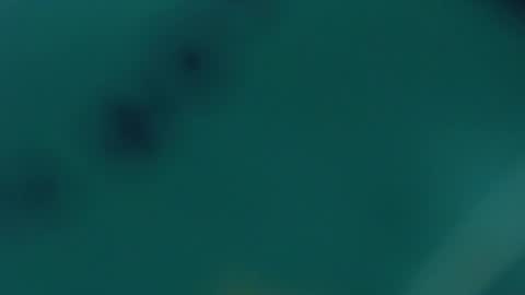 Snapshot of redhot_chilipeppers chatting on 02.20.25 Lupe online show from 02.20.25