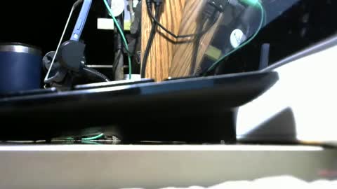 redneck1956 online show from 03.06.25