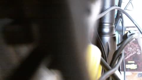 redorchard online show from 02.17.25