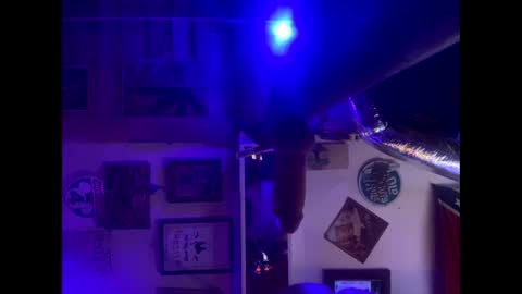 Lee online show from 10.05.25