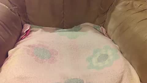 Mark online show from 09.17.25