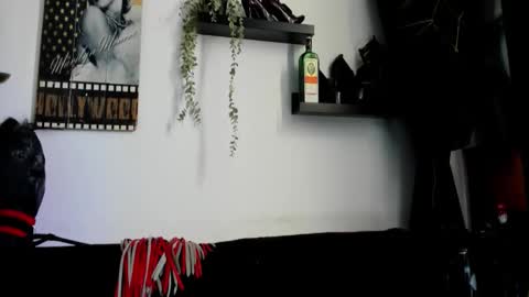 ROBERTA online show from 05.20.26