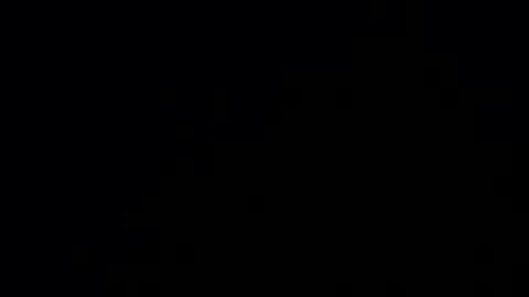 Tina online show from 01.31.26