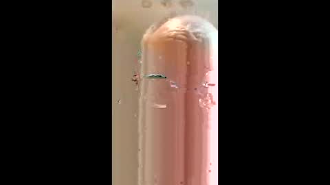 Snapshot of richarddockendorf74 chatting on 03.26.26 Rickyrocket online show from 03.26.26