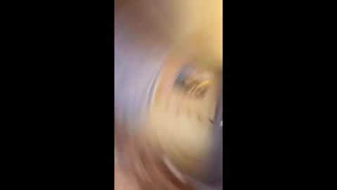 Gunman online show from 02.15.26