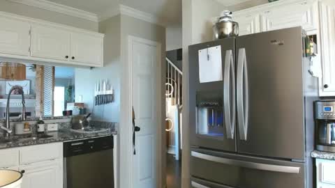 riley depp online show from 02.17.25