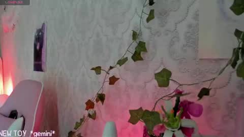 Snapshot of rileynymph chatting on 07.26.26 My name is Riley Like my broadcast pls 3 online show from 07.26.26