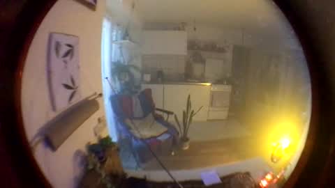 Snapshot of riod_rainforest_1983 chatting on 10.19.25 Rotrigo online show from 10.19.25