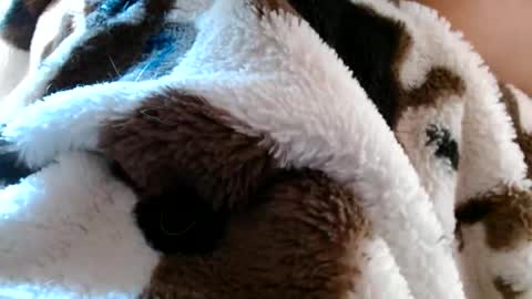 risingphoenix23 online show from 04.19.26