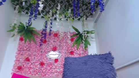 Risitos De Oro online show from 04.29.26