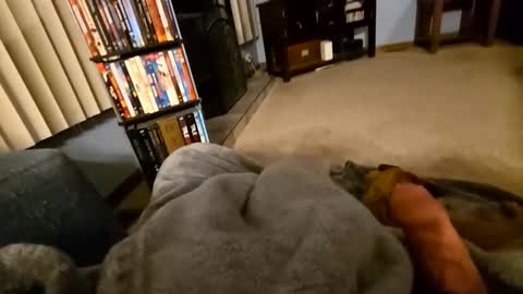 robbiebob6828 online show from 03.02.26