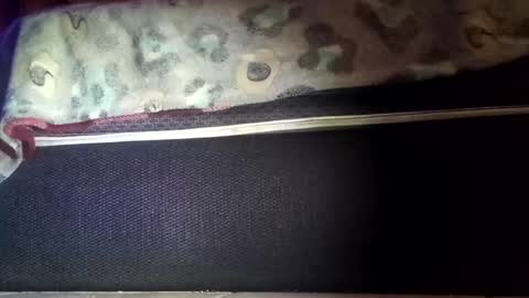 robert227818 online show from 11.08.25