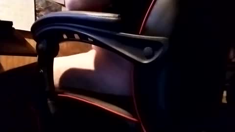 Snapshot of robonuts2004 chatting on 11.20.25 Robo Nuts online show from 11.20.25