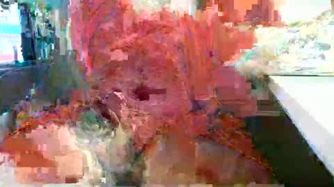 Rocco  aka DaddyRoc online show from 02.18.26