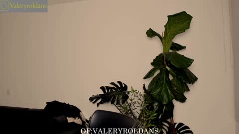 Valery Roldans online show from 02.04.25