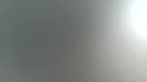 Trinked online show from 11.22.25