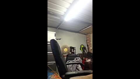 ronabater online show from 01.15.26