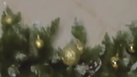 Chloe online show from 12.27.24