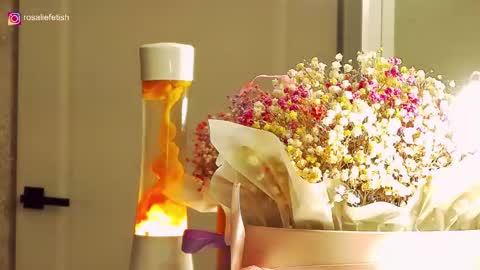 Rosalie online show from 12.20.25