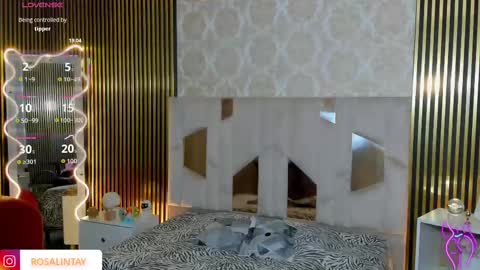 Snapshot of rosalind_tay chatting on 09.14.25 ROSALIN online show from 09.14.25