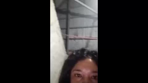 rose_marie2025 online show from 02.05.26