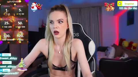 Snapshot of rosesarered97 chatting on 12.27.24 Abbygail online show from 12.27.24