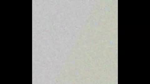 Rose  online show from 02.14.25