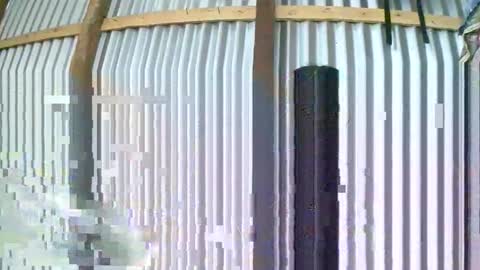 rosia online show from 01.10.26