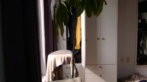 RossCollab online show from 03.02.26