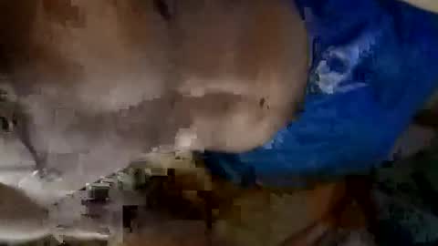 rotacini online show from 04.06.26