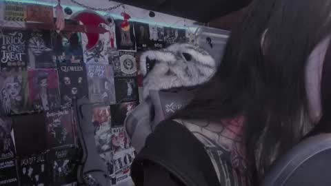 Snapshot of rotten_dreams chatting on 03.01.26 rot online show from 03.01.26